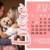 Calendario